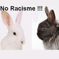 No picture